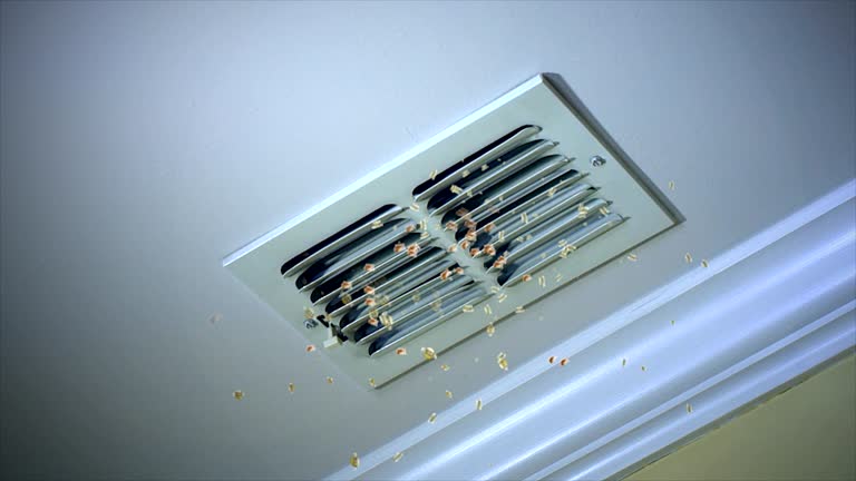 Best Affordable HVAC Duct Cleaning  in Kearney, MO
